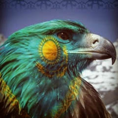 Адлет Молдашев, 16.08