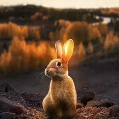 Евгения Барабанова, 05.03.1983, Тверь