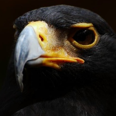 Турарбек Тугаев, Атырау