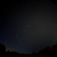 Юрка Ломоносов, 17.01.1920, Москва