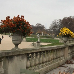 Этери Плиева, 29.11, Paris