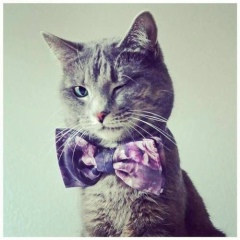 Закир Иров, 12.05.1987, Алматы