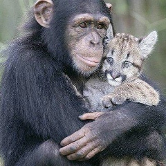 Александр Харитонов, 14.09.1980, Москва