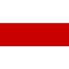 Артур Подберезко, Forlì