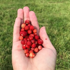 Зоя Мушаева, Москва