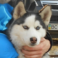 Сергей Ермолин, 17.05, Белгород