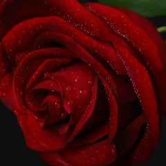 Мериим Эргешбаева, 18.09, Казань