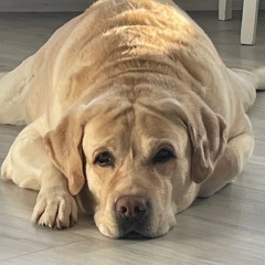 Олег Олег, 01.11.1979, Хабаровск