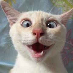 Тимон Чернов, 12.11, Ижевск