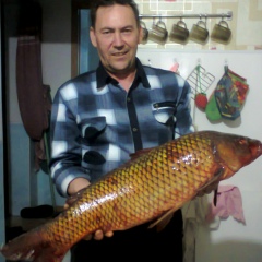 Рин Дик, Самара