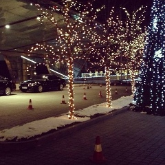 Диана Кудабаева, 22.08.1991, Алматы