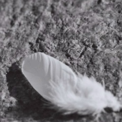 Алексей Владимирович, Санкт-Петербург