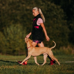 Charming Anny, 12.01.1901, Коломна