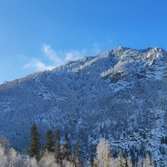 Айдынай Ай, Алматы