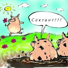 Виталий Алексеев, 02.01, Sacramento