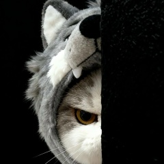 Алексей Шелков, 20.04.1901, Чебоксары