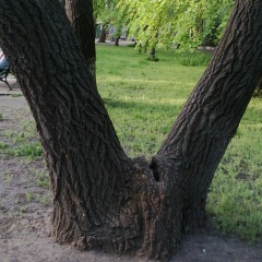 Михаил Петров, 12.08.1998, Тирасполь