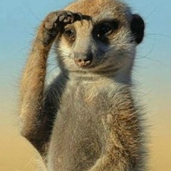 Дениси Мо, 24.12.1903, Mudanjiang