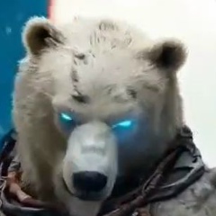 Зубр Зубров, Новосибирск