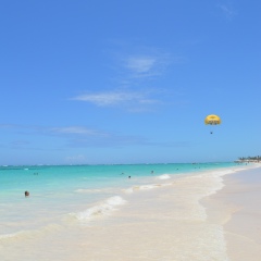 Елена Шишова