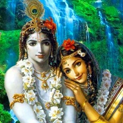 Дмитрий Ёлкин, 05.08.1985, Montréal