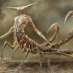 Жорка Князев, 31.10.1985, Калининград