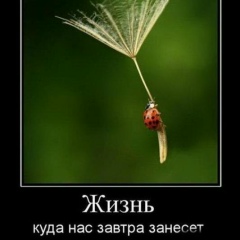 Валентин Казаков