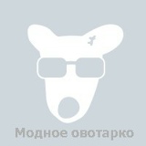 Владимир Петров