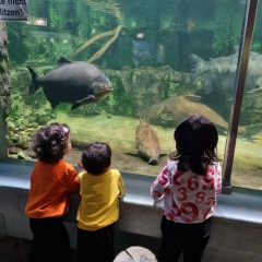 Malika Vakhidova, 25.02.1995, Lüdenscheid