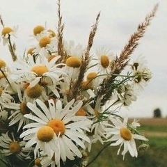 Алена Михайлова, 11.07, Москва