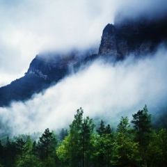 Ақжол Алғабекұлы, 22.03, Алматы