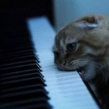 Слава Людсков, 26.07, Москва