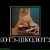 Светлана Кудренко, Минск