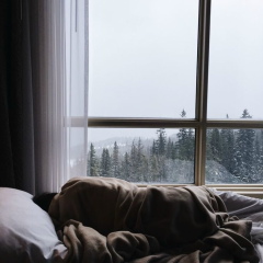 Адам Коллинз