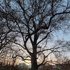 Наталья Степина, 21.03, Москва