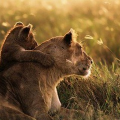 Светлана Абрамова, 17.08.1964, Москва