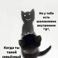 Павелутий Хаилевсяникус, Москва