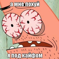 Платон Платонов, Новосибирск