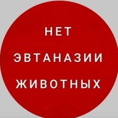 Ярослава Малышкина, 03.06.1980, Санкт-Петербург