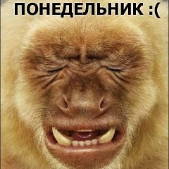 Дильшат Мусаев, 21.05.1998, Нижнекамск