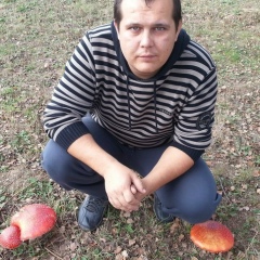 Андрей Рябыкин, 02.09.1963, Зимовники