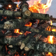 Дмитрий Man, Щекино