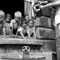 Семен Валерьевич, 23.05.1989, Сочи