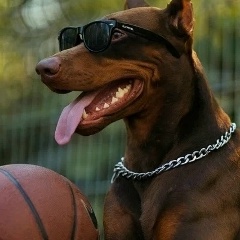 Павел Белов, Великие Луки