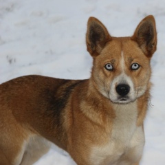 Александр Сазанов, 17.09, Серпухов