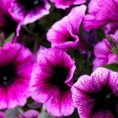 Жанна Малышко, 07.12, Сумы