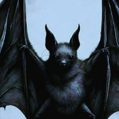 Михаил Кочетков, 27.08, Москва