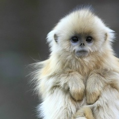 Анна Зуб, 24.06