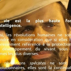 Marc Viot, 11.12.1962, Marseille