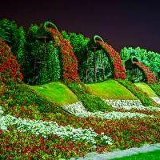 Фариза Сулейменова, 01.01